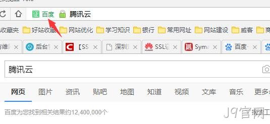 HTTPS 公司名显示2