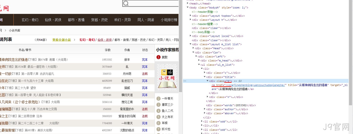 网站