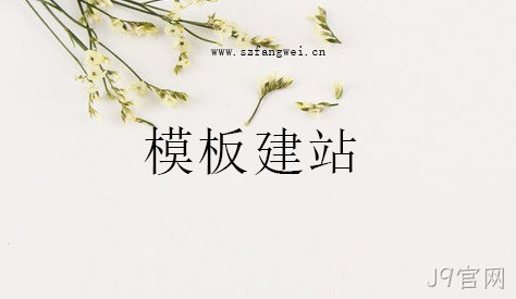 模板网站